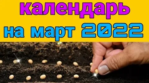 Когда можно сажать семена в марте 2024