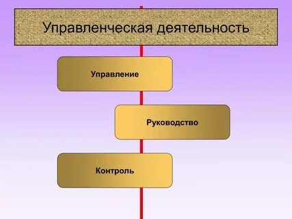Виды деятельности управляющей организации