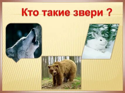 Презентация окружающий 1 класс звери