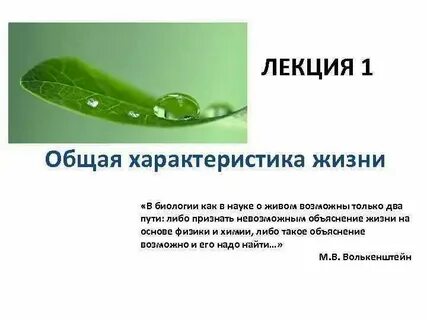 Общая характеристика жизни это