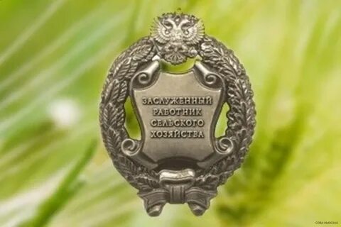 Почетный работник дорожного хозяйства