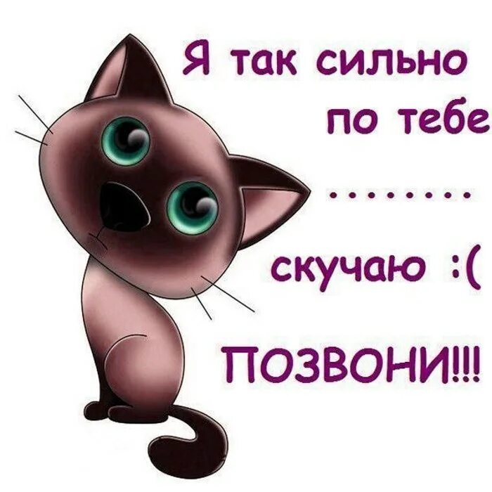 Жду короче