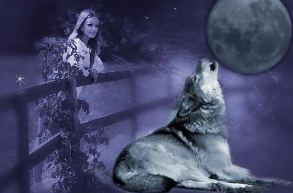 Одинокая волчица ночью. Волк и Луна. Волчица воет на луну. Волчица воет. Девушка с волком.
