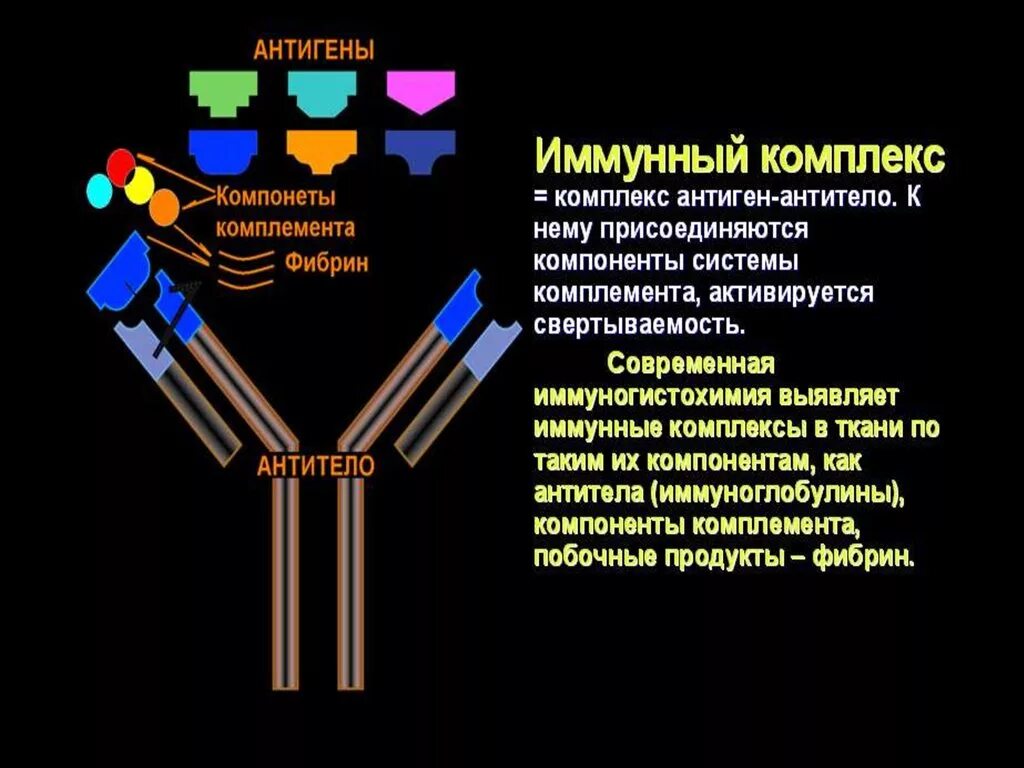 Антигены антитела иммунный ответ. Комплекс антиген—антитело (иммунный комплекс). Комплекс антиген антитело. Образование комплекса антиген-антитело. Образование иммунных комплексов.