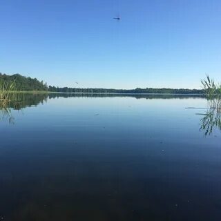 Петровское смоленская область