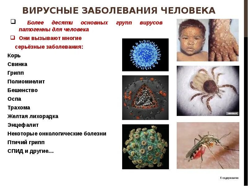 Вирус ковид группа патогенности. Вирусные заболевания. Вирусные заболевания человека. Заболевания вызываемые вирусами. Заболевания вызываемые вирусами у человека.