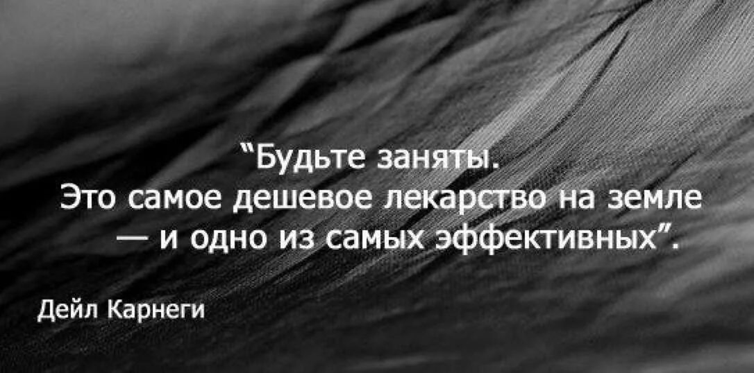 Безумство цитаты. Цитаты про СУМАСШЕДШИХ. Афоризм безумство. Фразы про безумие. Заканчиваться тревога