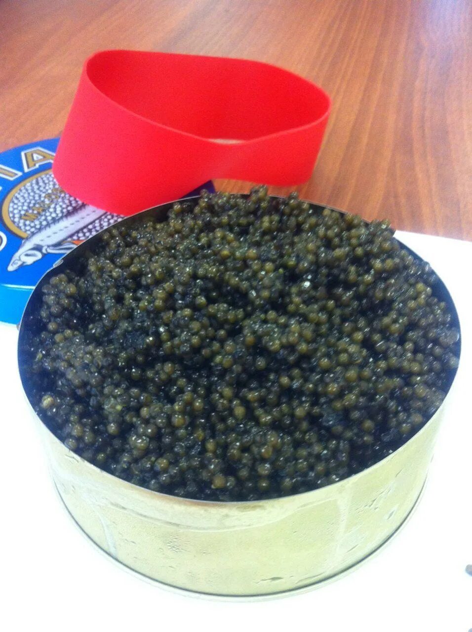 цвет икры осетровых рыб. цвет икры осетровых рыб. икра черная раскат белуга. цвет икры осетровых рыб. осетровая икра цвет.