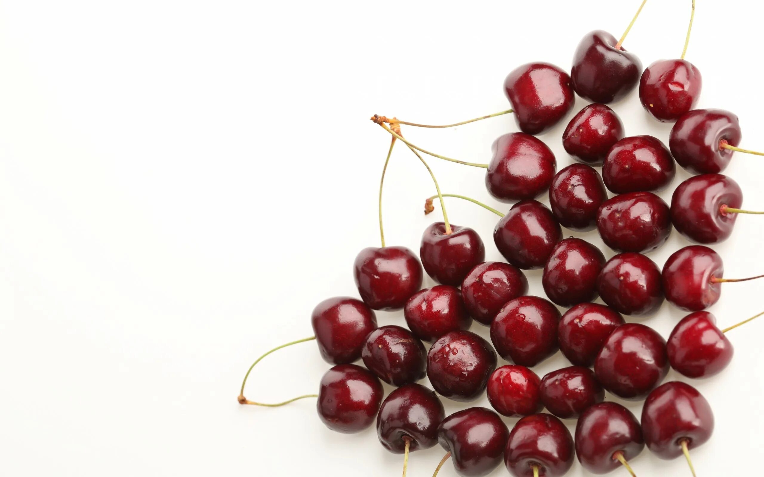 Вишня запись. Вишня молодежная р9. Черри вишня. Черри черешня. Кулек черешни.