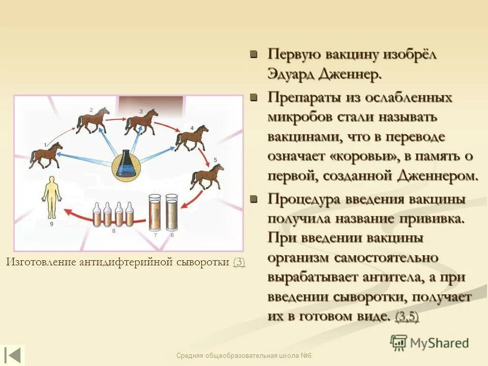 Вакцина это препарат из. Комплекс пробиотиков и пребиотиков. Бифидобактерия форма бактерии. Препарат из ослабленных микробов называется. Авинизированные вакцины.