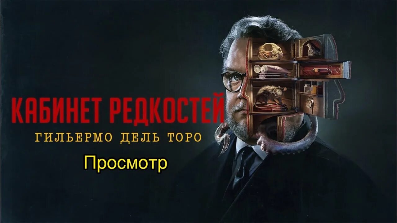 Лавка редкостей дель торо. Лавка редкостей дель торо. Лавка редкостей дель торо. Лавка редкостей дель торо. Лавка редкостей дель торо.