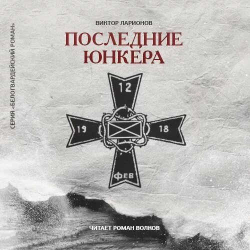 Что рекомендуете прочитать о в в юнкера. Виктор ларионов белое движение. виктор ларионов белая идея. виктор ларионов последние юнкера. виктор ларионов книги.