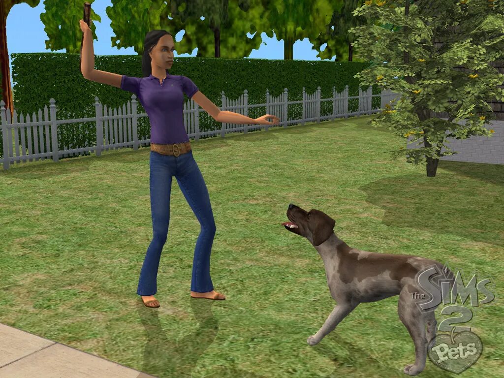 The SIMS 2: питомцы. SIMS питомцы. SIMS 2 Pets. The SIMS 2 Pets (ps2).