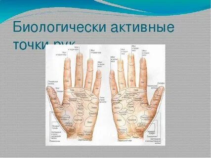 Карта ладоней