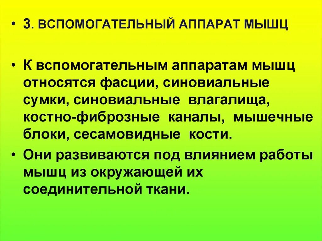 К вспомогательному аппарату мышц относятся ответ. Вспомогательный аппарат мышц. к вспомогательному аппарату мышц относятся. к вспомогательному аппарату мышц не относится. вспомогательный аппарат мышц блоки.