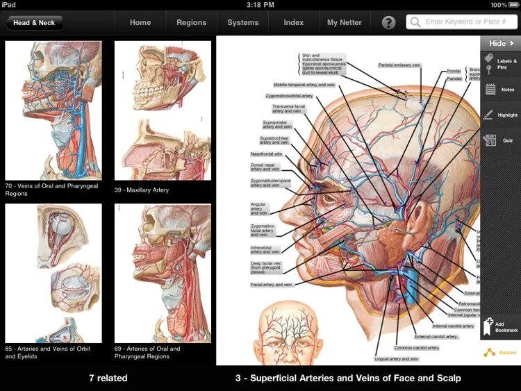 Atlas of human anatomy netter