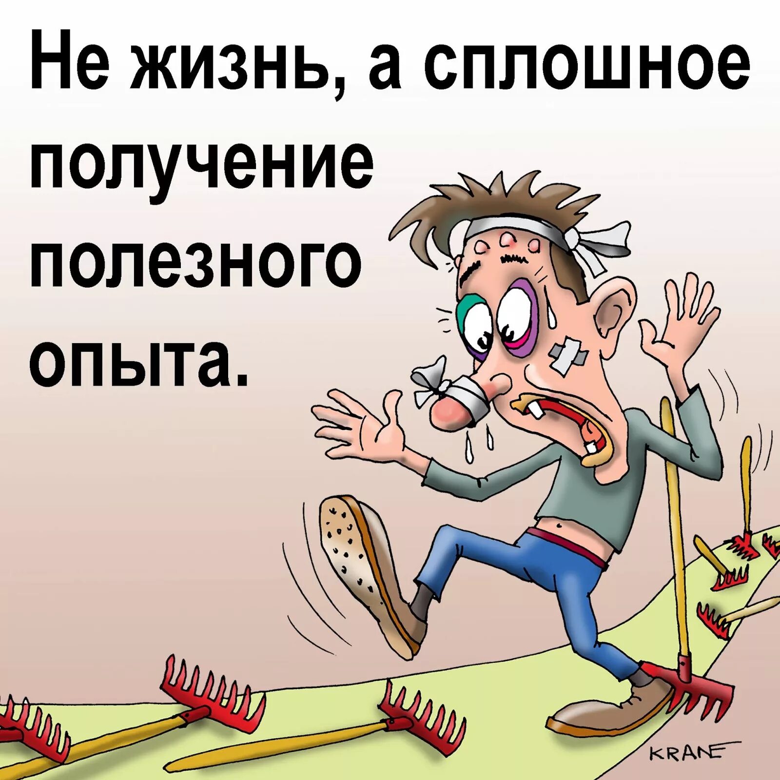 Опыт терпения. Анекдоты. Анекдот. Анекдоты в картинках. Прикольные шутки.