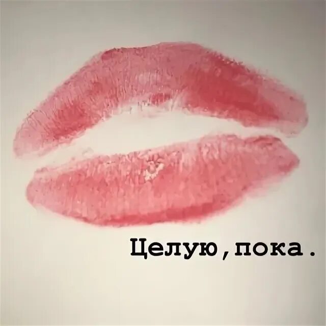 целую пока. целую пока картинки. целую пока. целую картинки. мемные фразы для разговора.