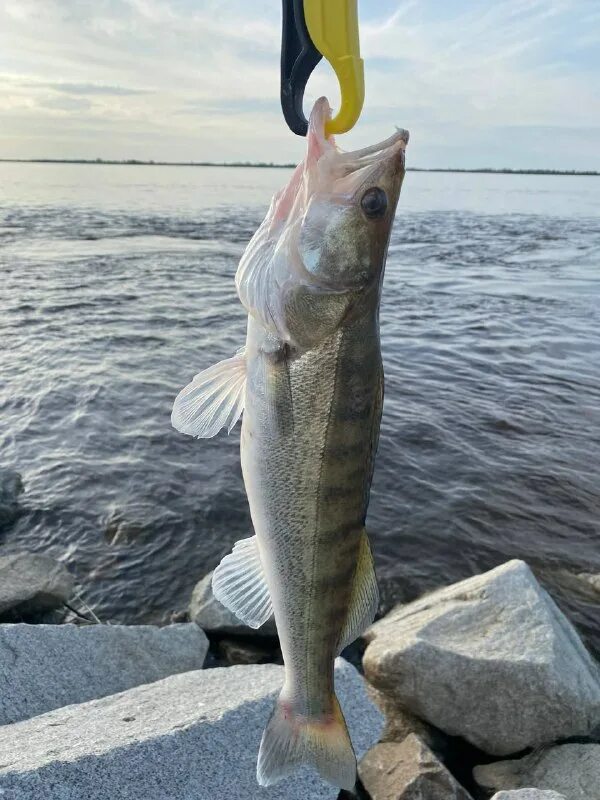 трасса ростов крым. карта крым ростов на дону. маршрут ростов на дону феодосия на машине через крымский мост. воронеж судак. воронеж судак.