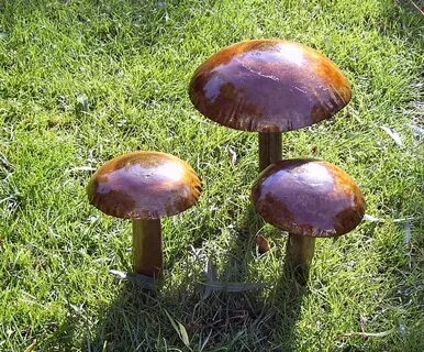 Грибы металлические