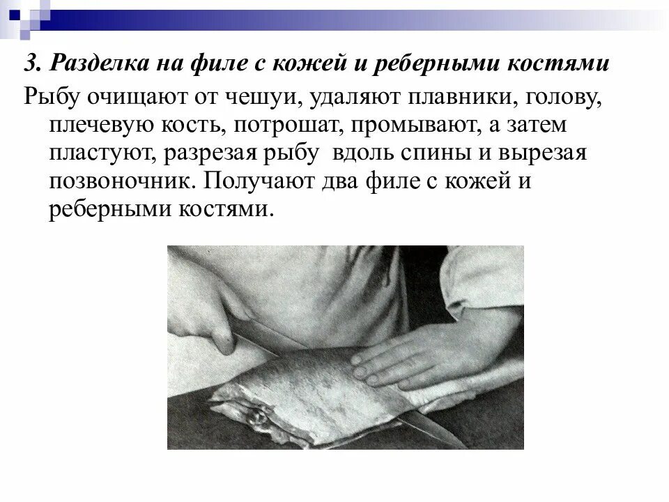 Филе окуня, свежемороженое 500гр. - купить в СПб РЫБОЛОВ