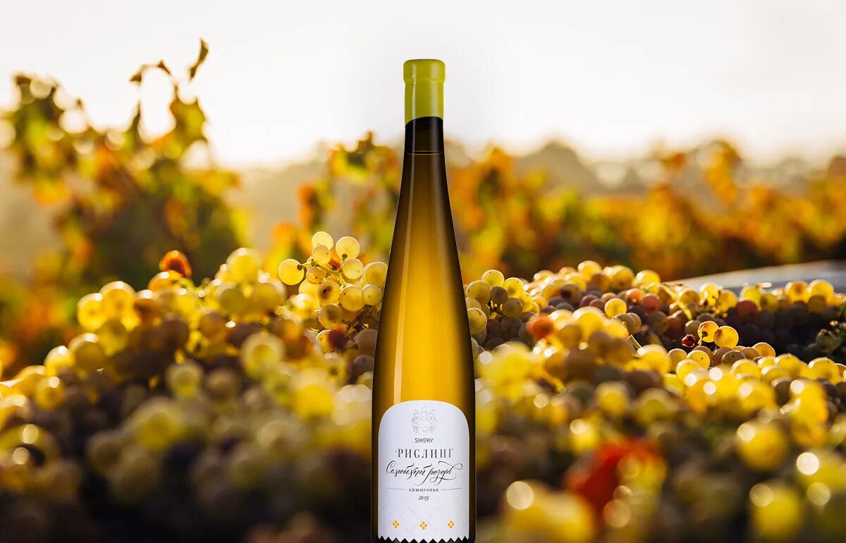 Рислинг виноград германия. Вино с виноградом рислинг. Рислинг. Белое вино сорт рислинг. Виноградники рислинг в германии.