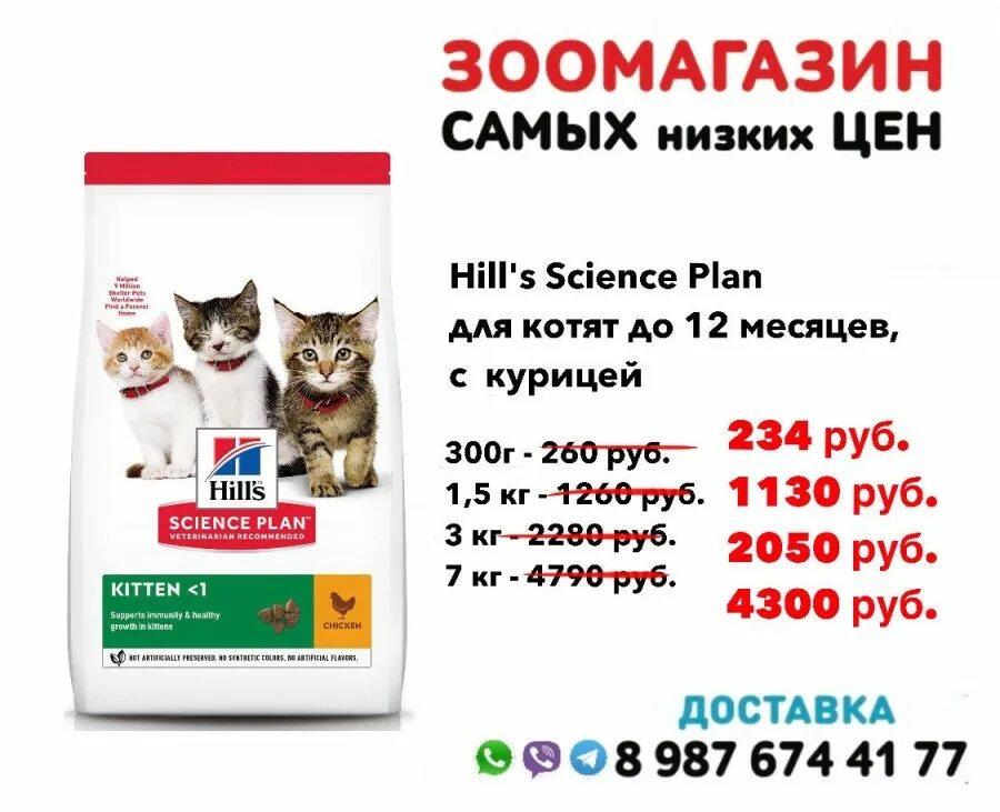 Суперпремиум корм для собак. Зоокорм33 интернет магазин. Зоокорм 24. "трапеза био" с/к д/собак 10кг 2194. Интернет магазин зоокорма 24.