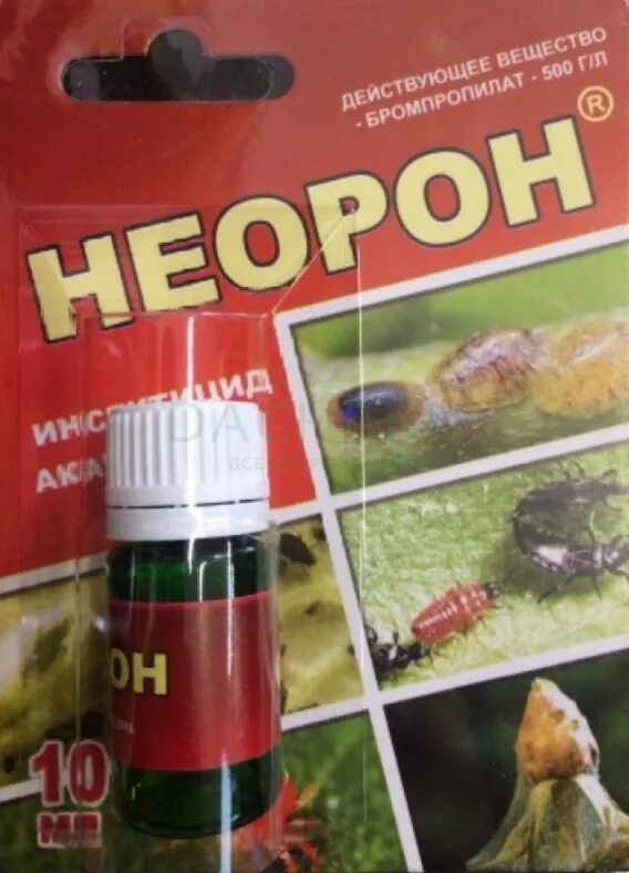 Неорон от клещей. Неорон 10мл. неорон акарицид. препарат от клеща неорон. неорон от паутинного клеща.