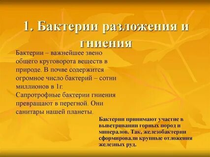 Роль бактерий разложения и гниения
