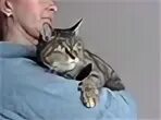 Коте э