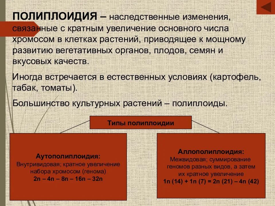 Полиплоидия заключается в изменении числа. Полиплоидия. виды полиплоидии. полиплоидизация метод. типы возникновения полиплоидии.