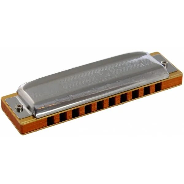 Easttop 10 Holes Diatonic Harmonica Blues Mouth Ogan Key of C Musical Instrument