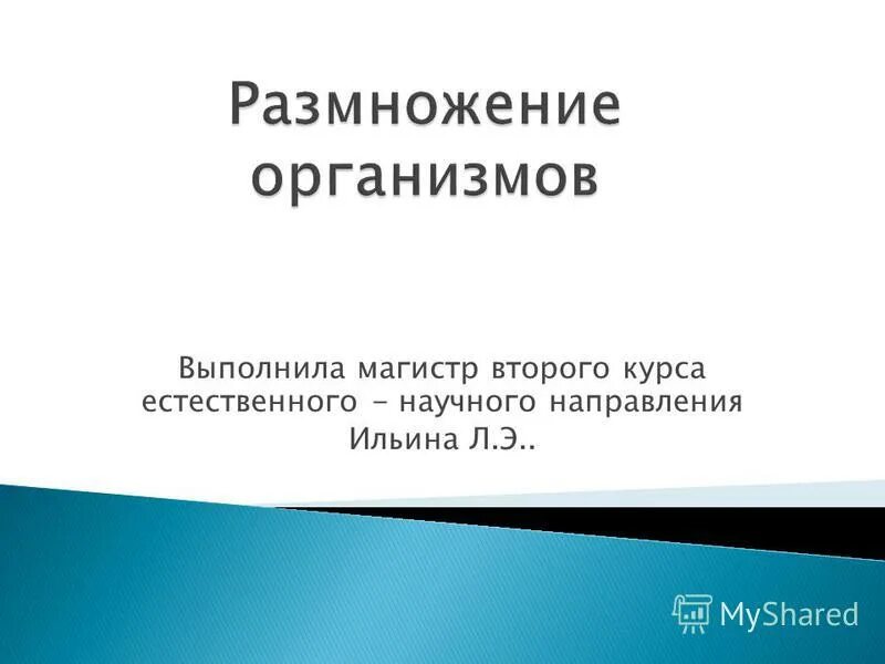бакалавр. 2 курс картинка. выпускники бакалавриата. выпускники магистратуры. обучение в магистратуре.