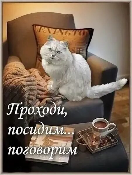 Зиппо давай посидим. Мы посидим поговорим с ней. Посидим помолчим картинки. Посидим поговорим. Стих давай.