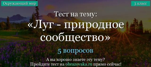 Тест природные сообщества 5 класс с ответами