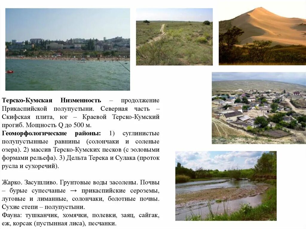 Терско-кумская полупустыня. Физическая карта северного кавказа. Терско-кумская низменность. Географическое положение северного кавказа. Терско кумская низменность на карте.