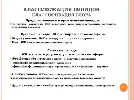 Чем липиды отличаются от жиров