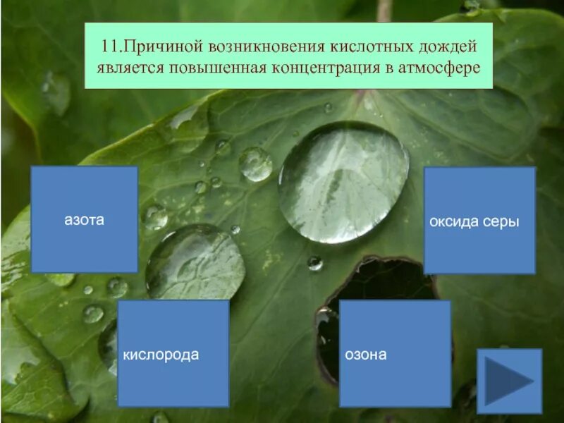 Является увеличенным. Причиной кислотных дождей является. причиной кислотных дождей является повышенная. кислотные дожди причины. причина кислотных дождей является повышенная концентрация.
