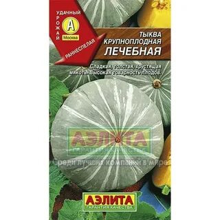Тыква сорт лечебная отзывы