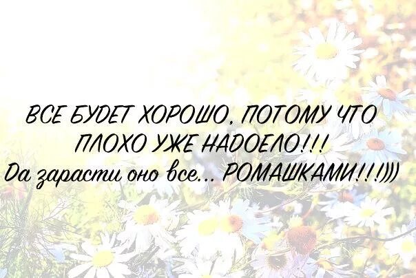 Зарасти все ромашками. Всё будет хорошо потому что плохо уже надоело. Всё будет хорошо да зарасти оно все ромашками. Плохо уже надоело зарасти оно ромашками.