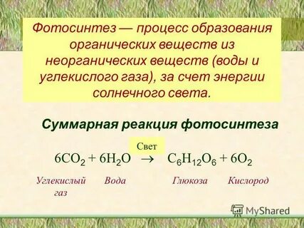 Фотосинтез уравнение реакции
