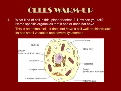 Cell name