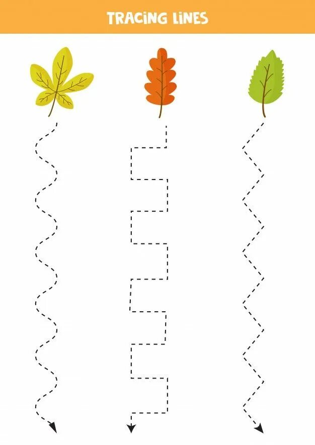 Leaves no traces