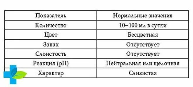 В п зр что это значит