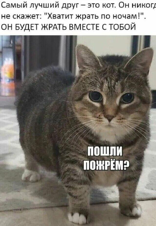 Мемы про неудачников. В аптеке мне сказали приходите ещё. А если я сказал к маме значит к маме реклама. К маме значит к маме анекдот. Мем когда девушка сказала что одна.