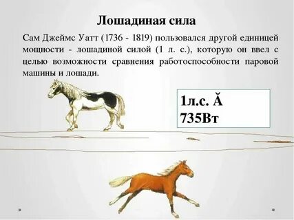 Л с ч что это
