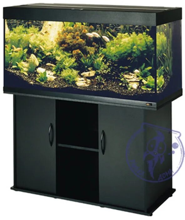 Аквариумы juwel rio. Ювель рио 125. Аквариум juwel rio 240 led черный. Rio 450 белый. Аквариум juwel rio 300.