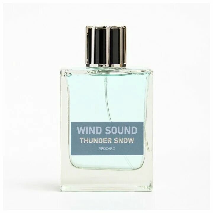 М т/в wind sound - thunder snow 100 мл /36. Туалетная вода мужская джельтимен 7. Wind sound brocard. Wind sound brocard. Wind sound thunder snow 100ml men.