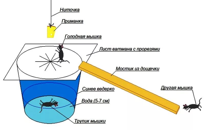 Сделай устройство видимо