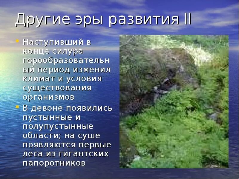 Жизнь на суше появилась